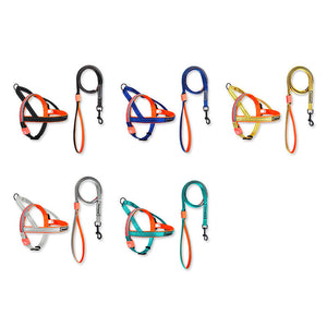 Illuminate Your Walks with the LED Dog Leash