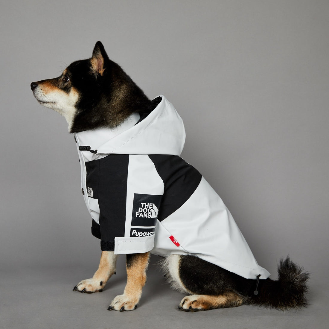 Raincoat Pet Shell Jacket