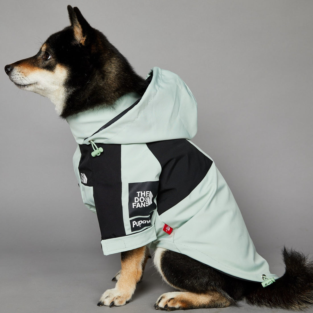 Raincoat Pet Shell Jacket