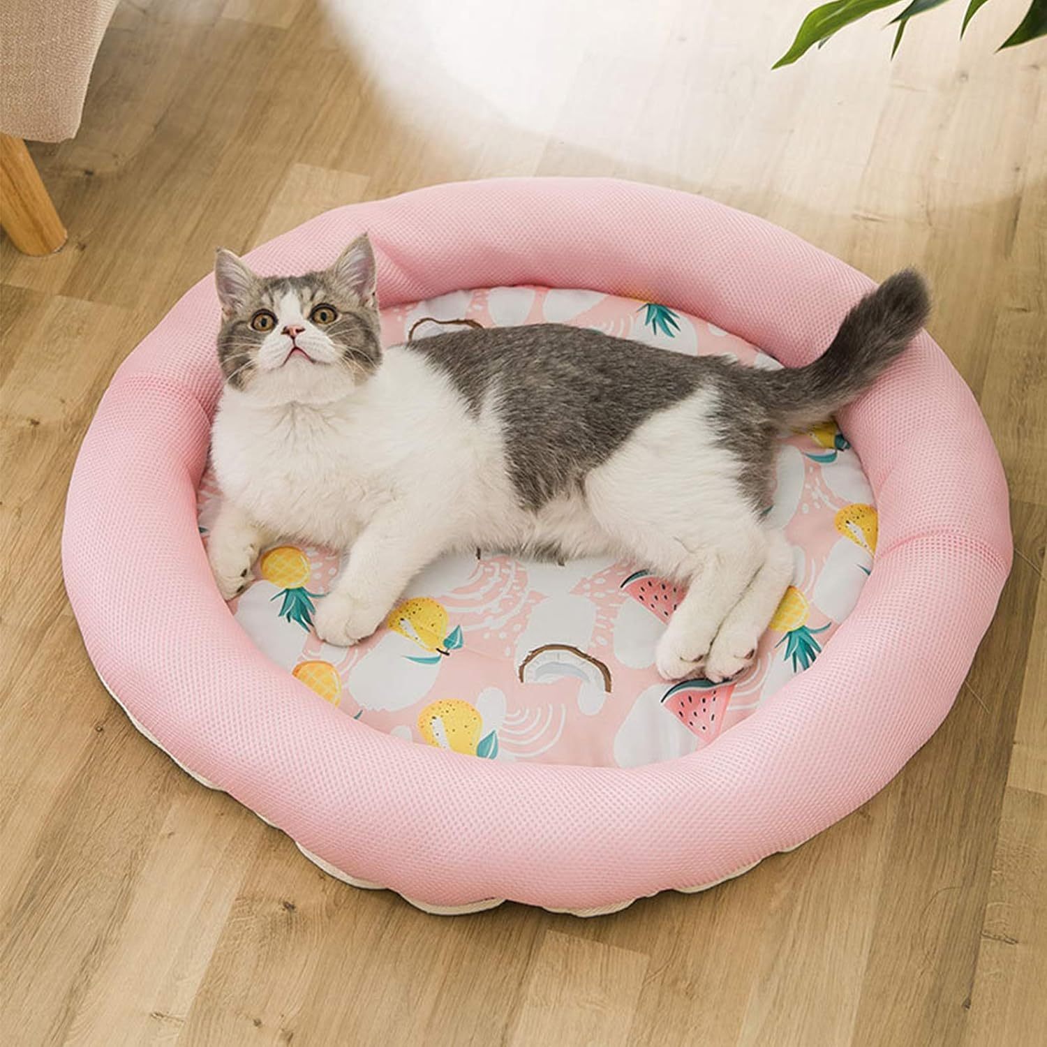 Cooling Dog Bed Soft Summer