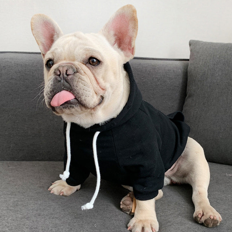 Pet with fleece hoodie