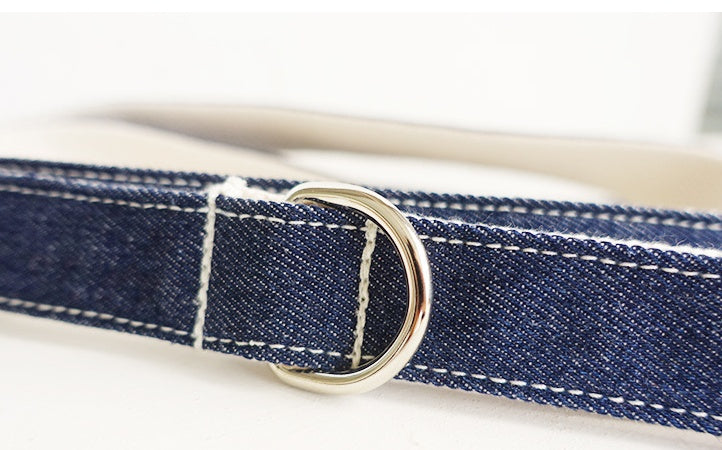 Pet dog collar Leash with high quality