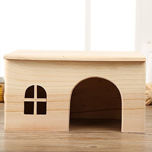Hamster House in spring and summer