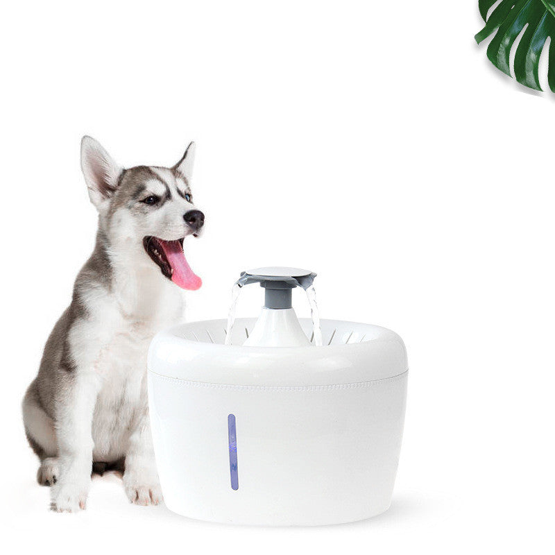 Pet Water Electric Water Dispenser