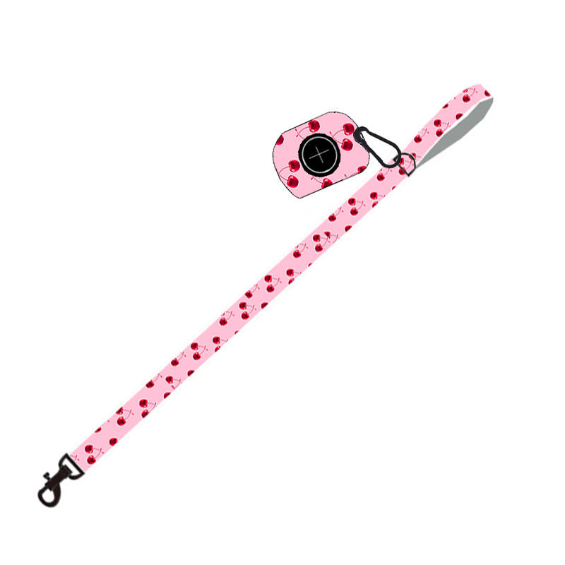 Pet Supplies Dog Leash
