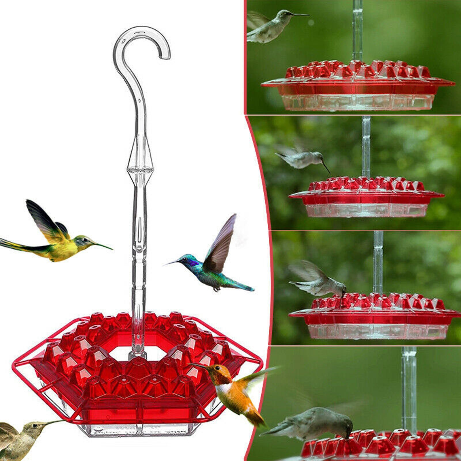 Hexagonal Bird Feeder Coneflower