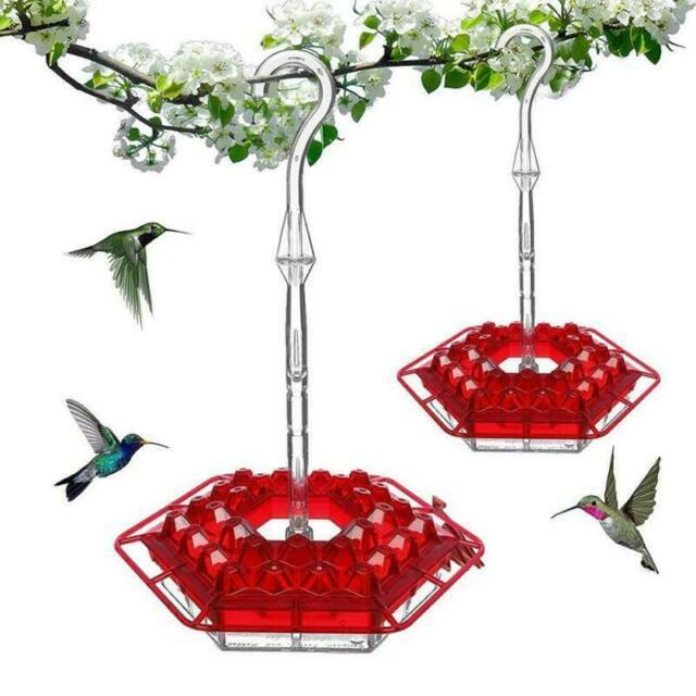 Hexagonal Bird Feeder Coneflower