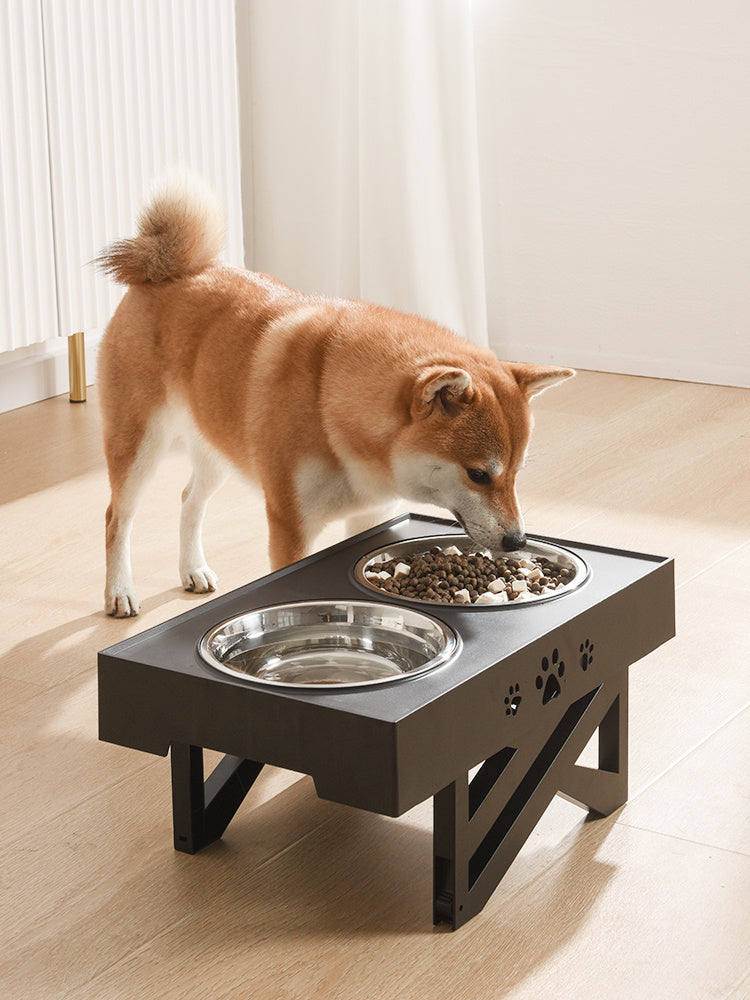 Pet Bowl Folding Bowl