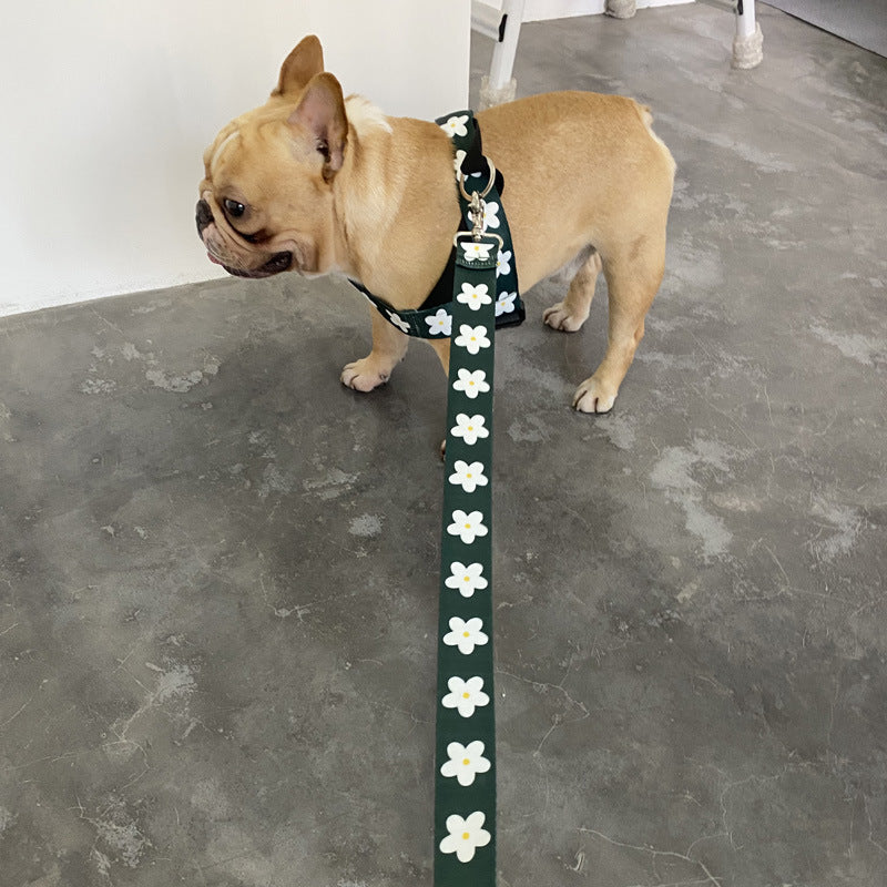 Golden Retriever Labrador Dog Leash