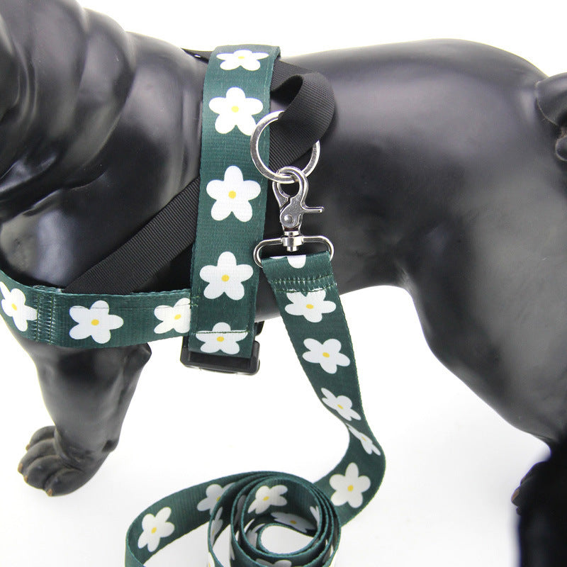 Golden Retriever Labrador Dog Leash