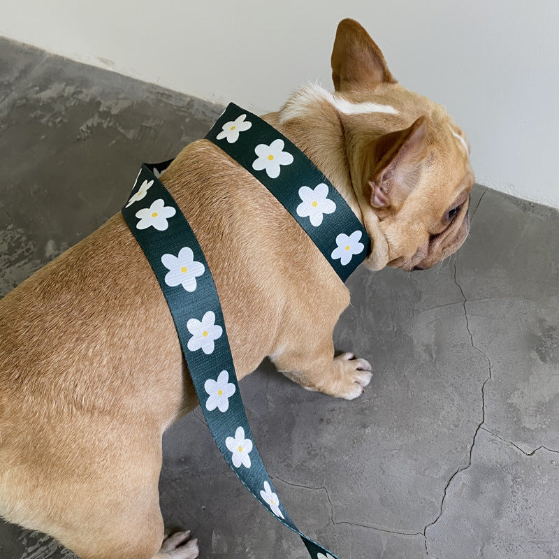 Golden Retriever Labrador Dog Leash