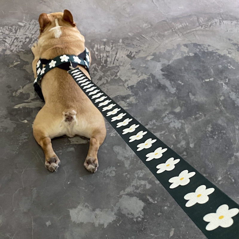 Golden Retriever Labrador Dog Leash