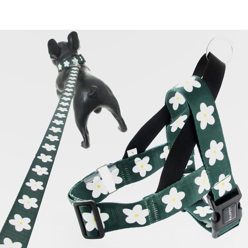 Golden Retriever Labrador Dog Leash