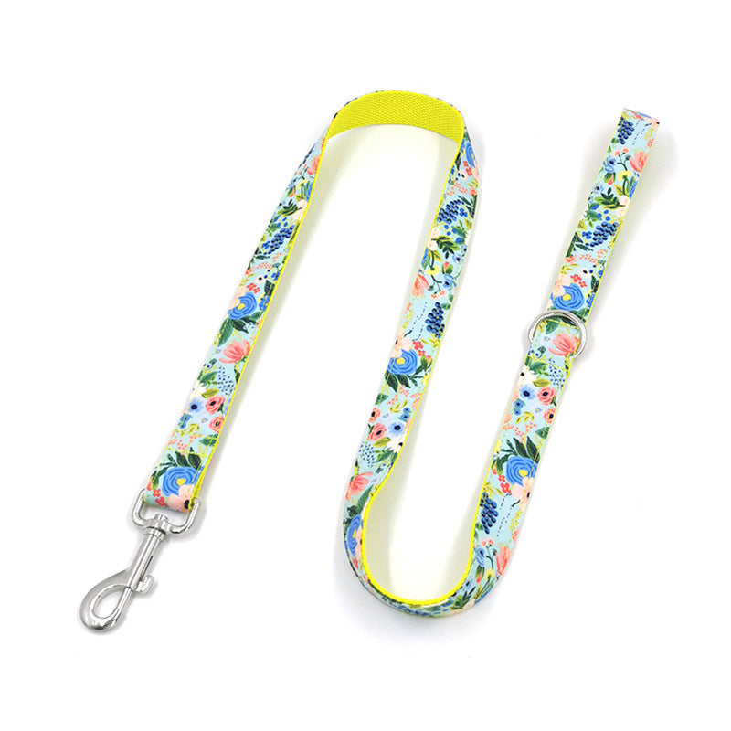 Dog Leash Set