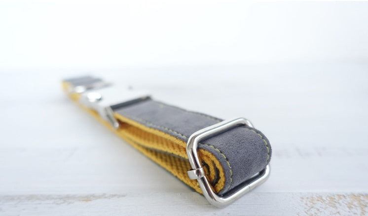 Dog Traction Collar Traction Rope Set