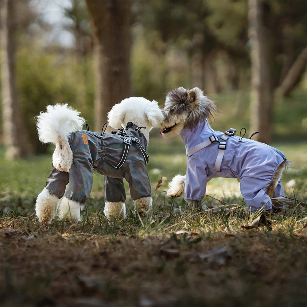Fashion Personality Dog Raincoat