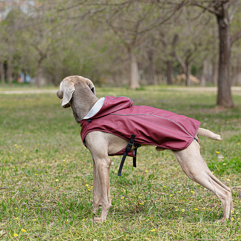 Pet Raincoat Clothes