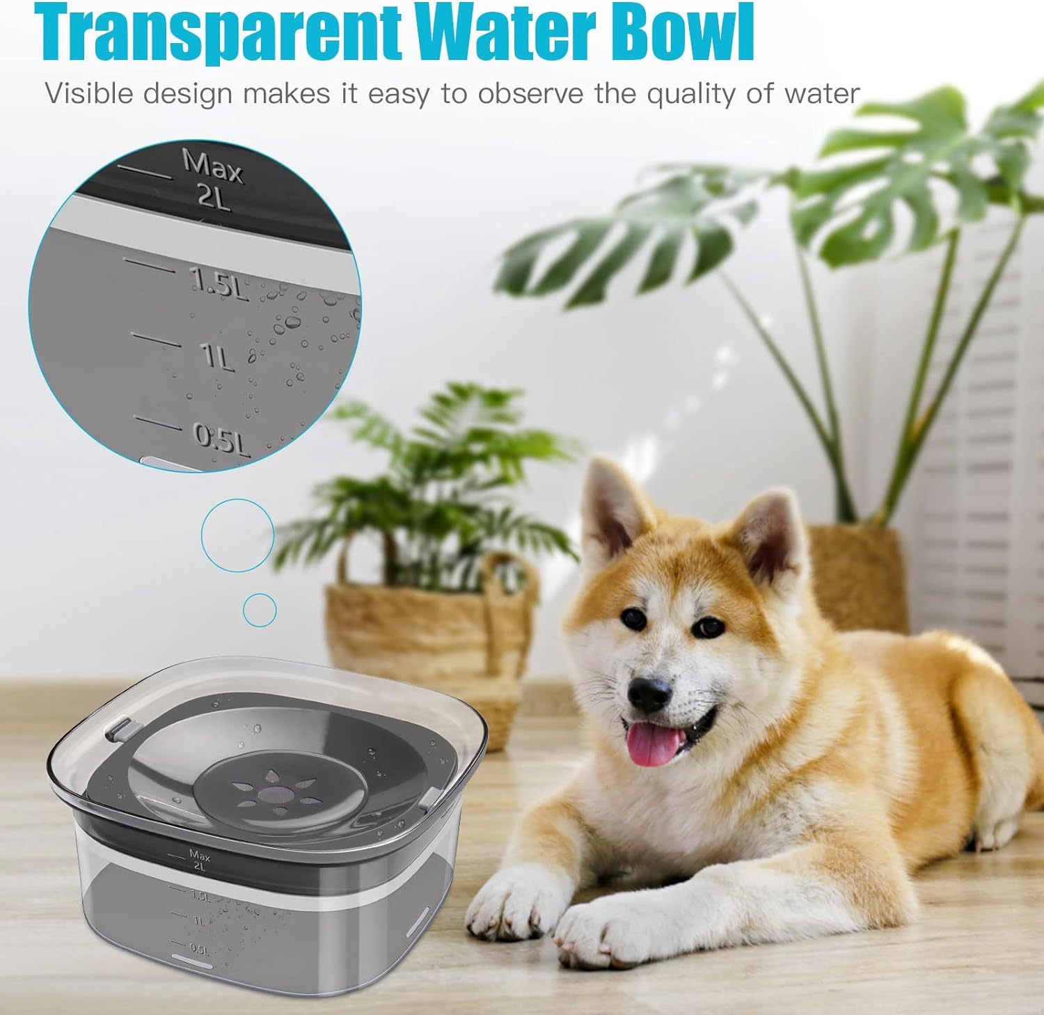 Dog Water Bowl 2L