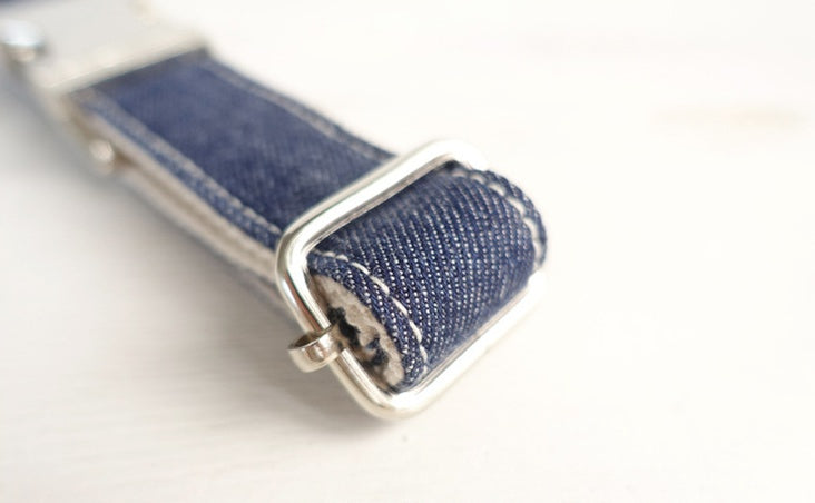 Pet dog collar Leash with high quality