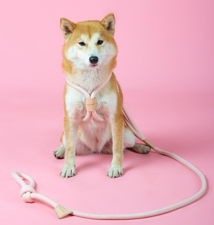 Pet Dual-purpose Dog Leash