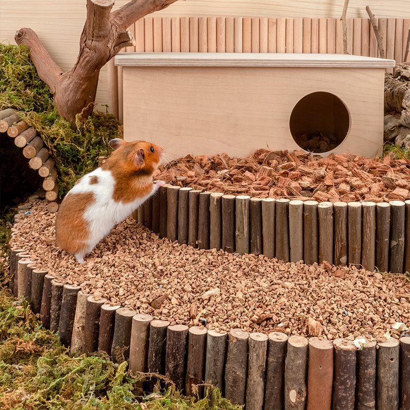 Oak Cork Hamster Landscaping Supplies