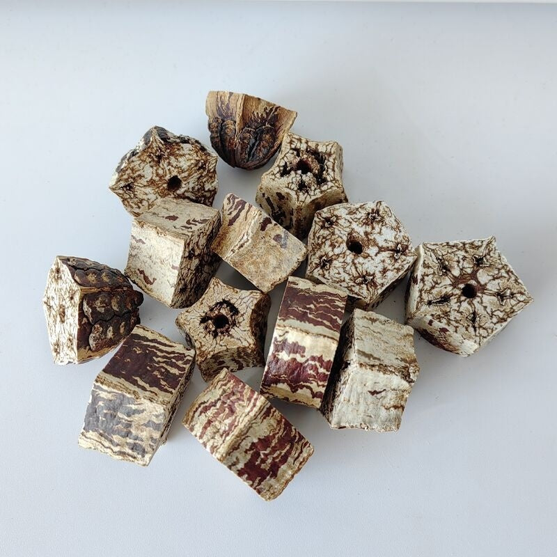 Parrot Toys Parrot Bite Cage