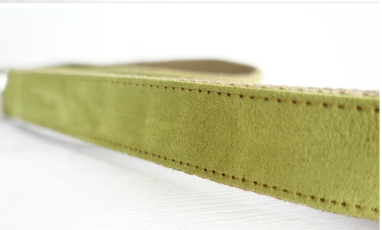 Pet dog collar Leash with high quality