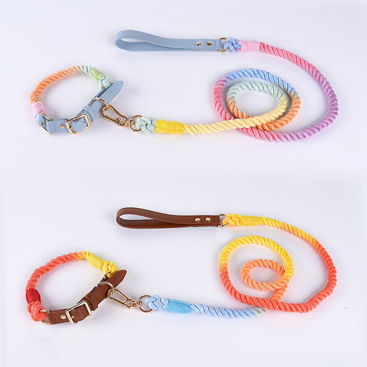 Woven Leather Pet Dog Collar Suit