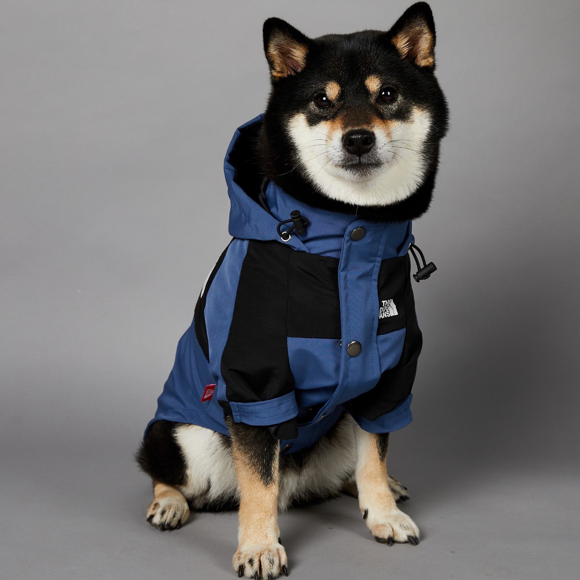Large Dog Raincoat Pet Shell Jacket