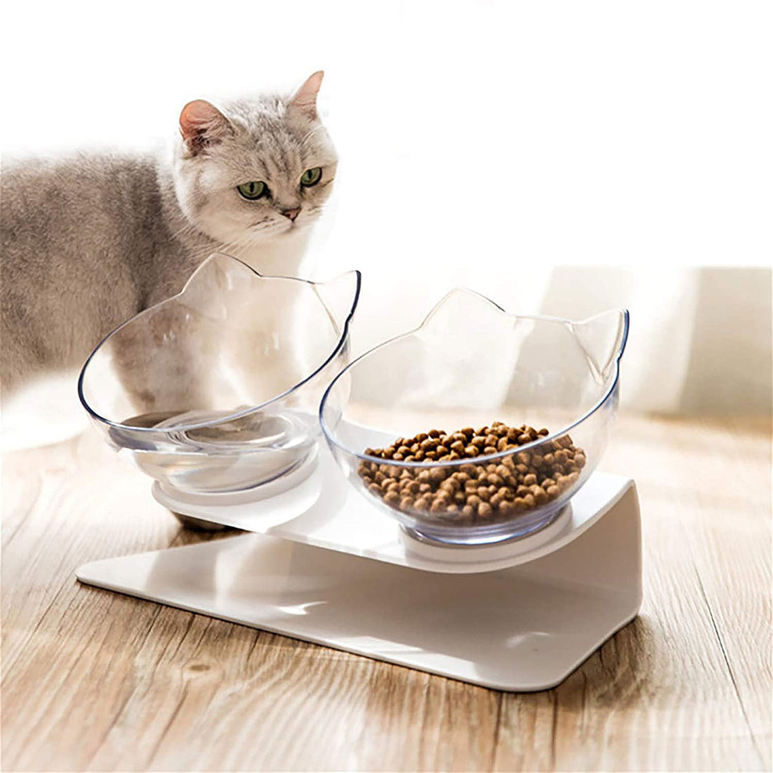 Cat Bowl With Raised Stand