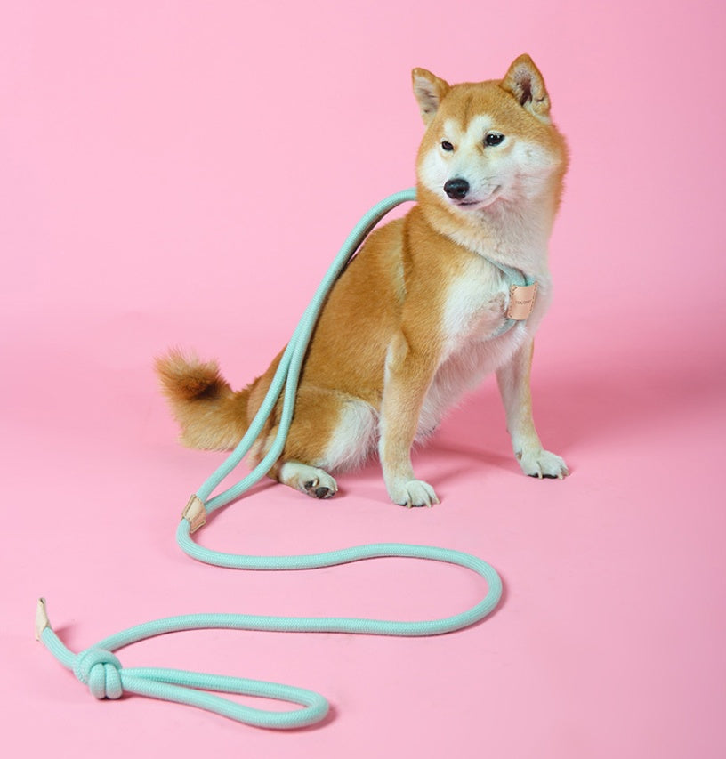 Pet Dual-purpose Dog Leash
