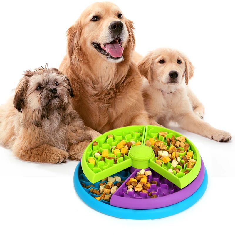 Pet Slow Food Bowl