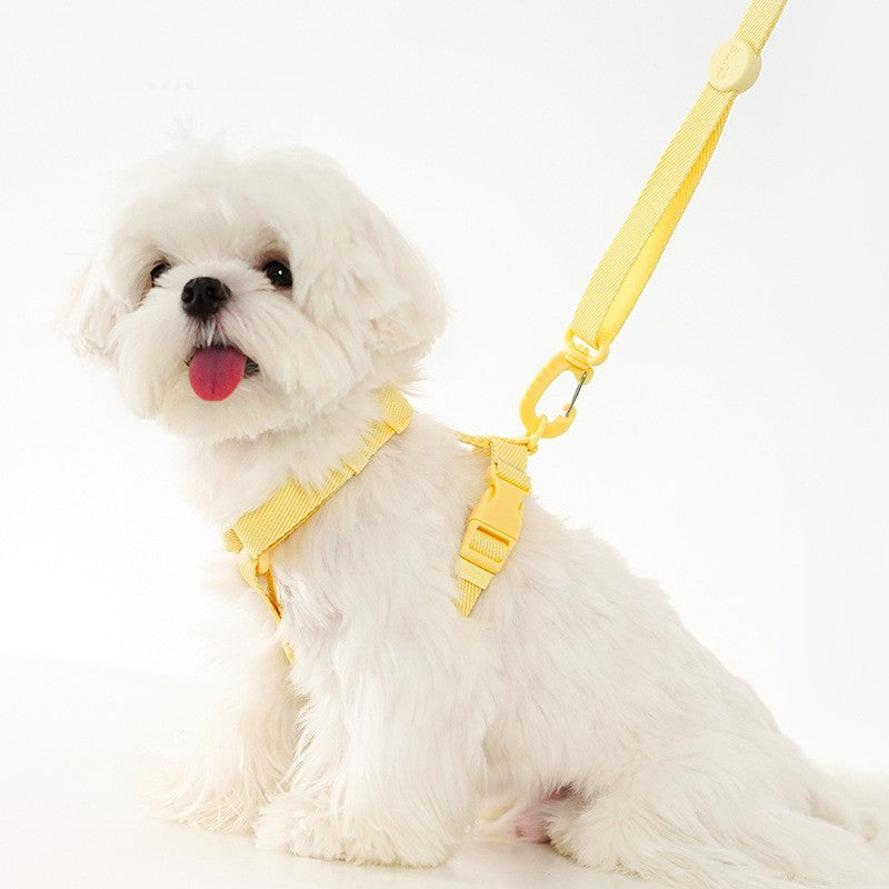 Pet Collar Chest Back Lead Rope