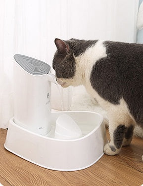 Pet dog water dispenser