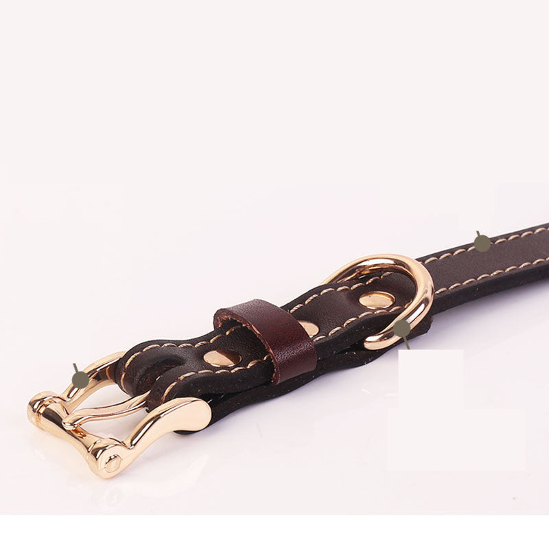 Leather Dog Collar Set