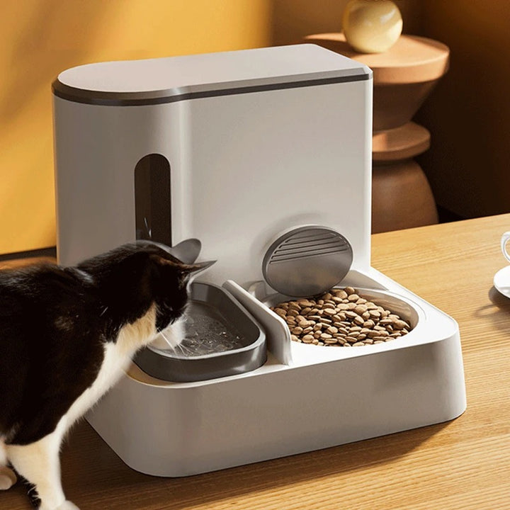 Cat Automatic Pet Feeder