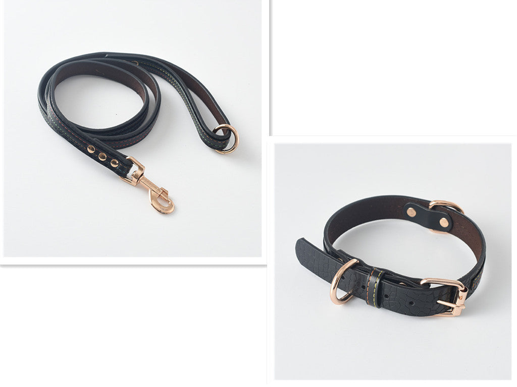 Pet Leash Dog Leash Collar