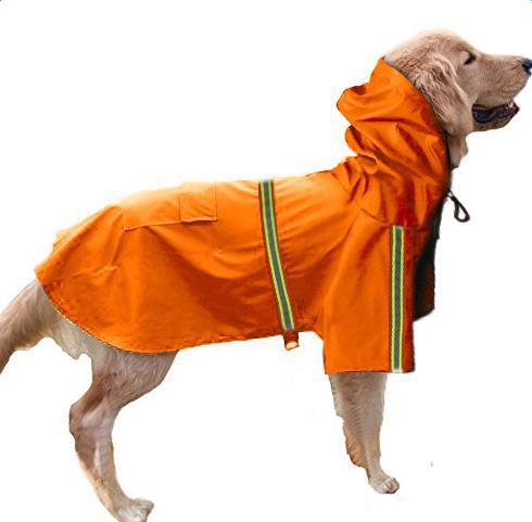 Spring and summer new dog raincoat
