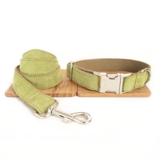 Pet dog collar Leash with high quality