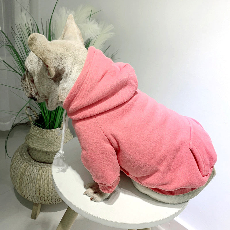 Pet with fleece hoodie