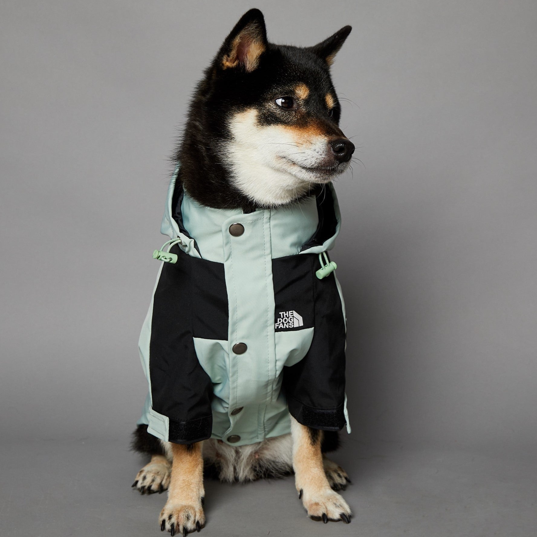 Raincoat Pet Shell Jacket