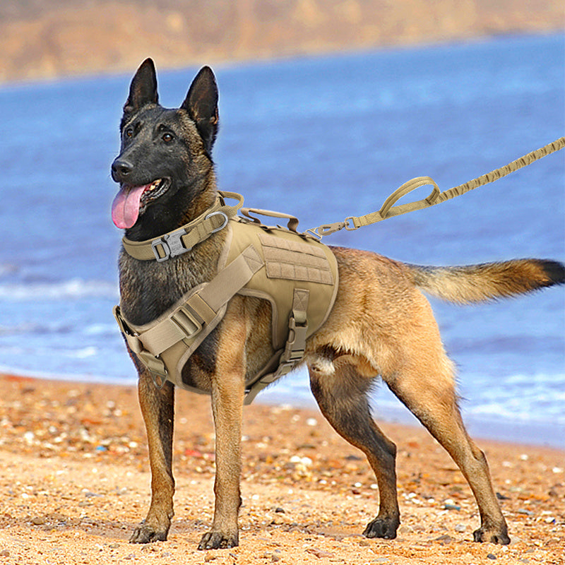 Tactics K9 Chest Harness Vest