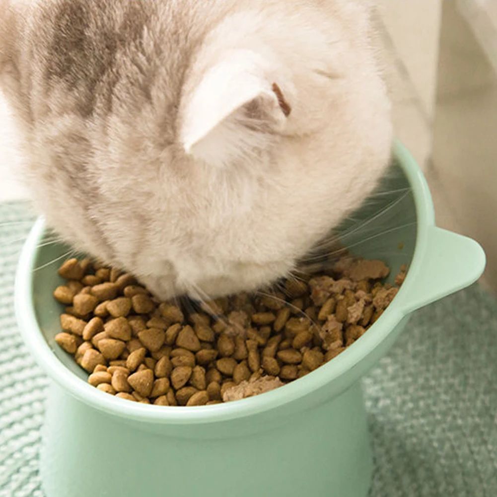 Tilted Cat Food Bowl Elevated Cat Bowl