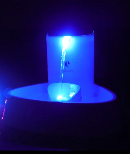 Pet dog water dispenser