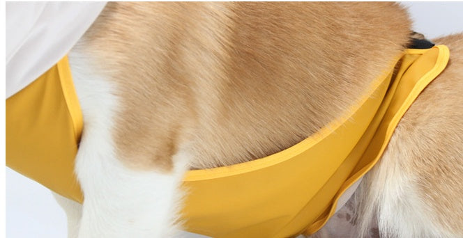 Dog Raincoat Transparent Bellyband