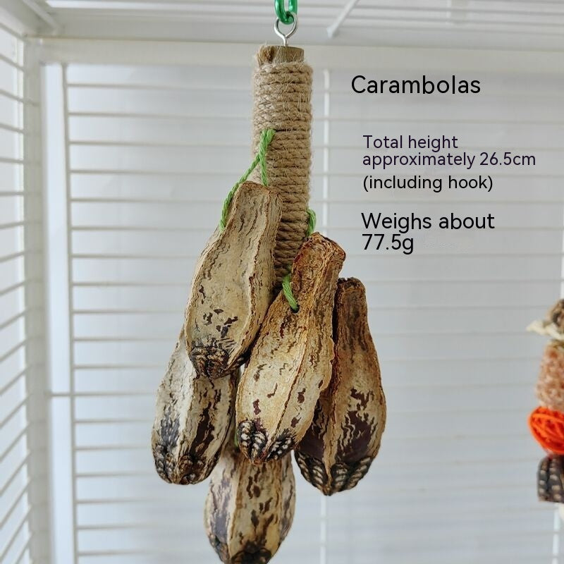 Parrot Toys Parrot Bite Cage