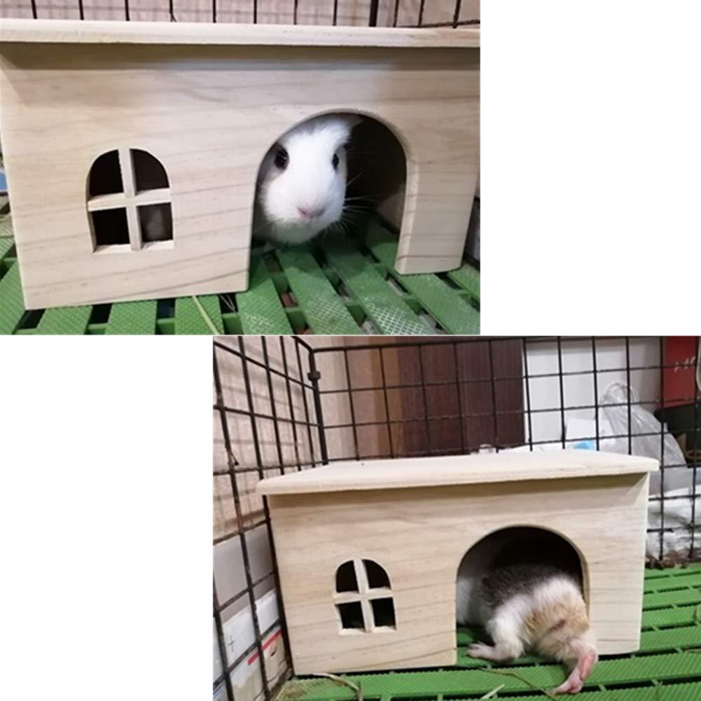 Hamster House in spring and summer