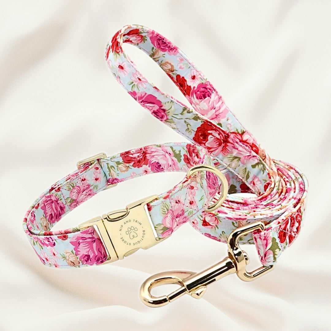 Dog Tag Custom Dog Collar