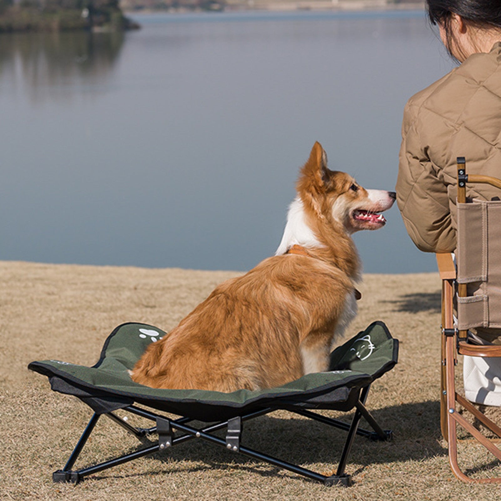 Outdoor detachable pet folding bed