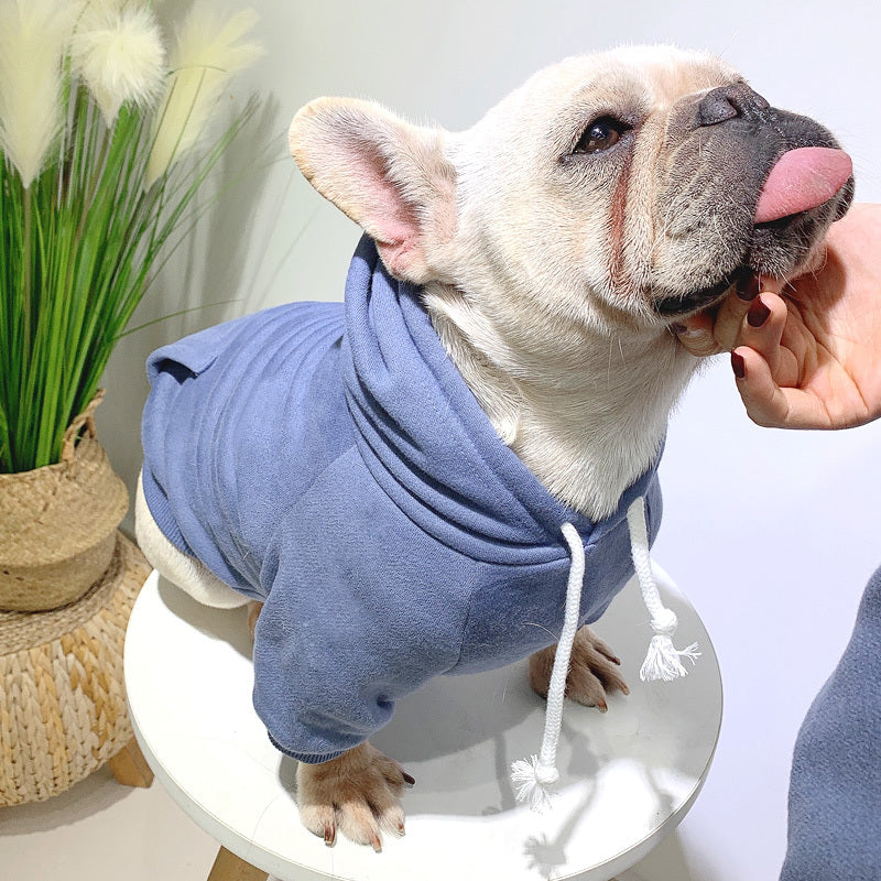 Pet with fleece hoodie